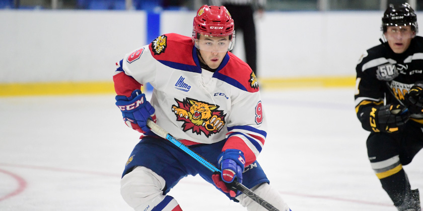 Moncton Wildcats NHL Prospect's Game Evaluations (1/31/20)