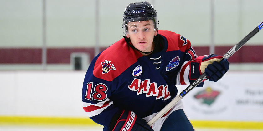 NCAA: Niagara Adds an Offensive Defenseman, Former Michigan Commit Rebounds with UNO Offer