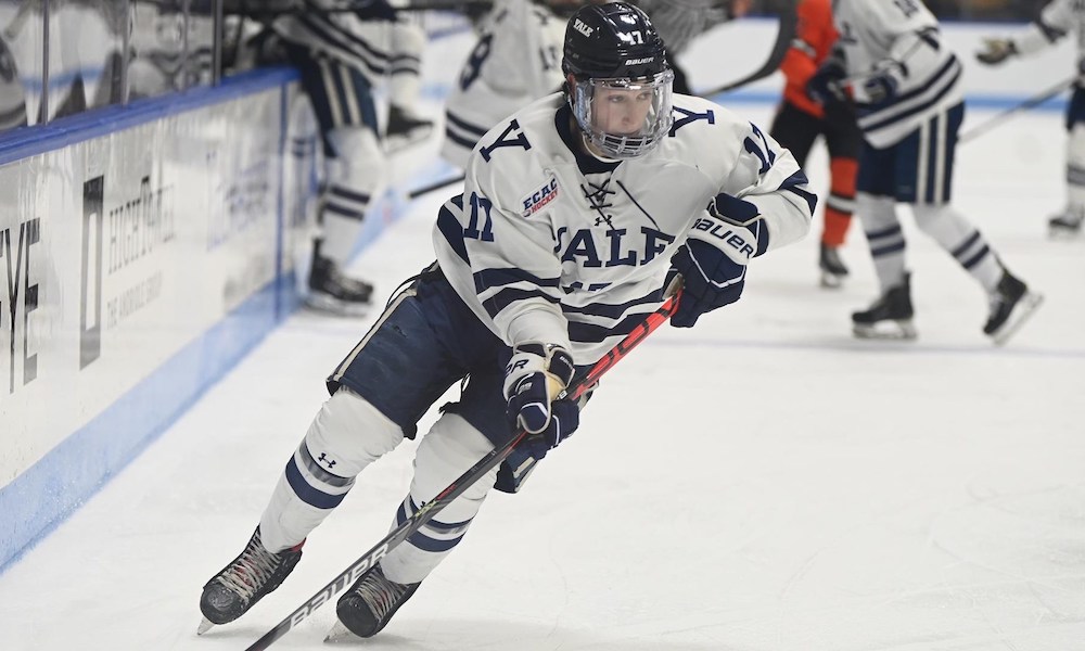 NCAA: Clarkson, UConn grab a portal player and commits for Niagara and AIC