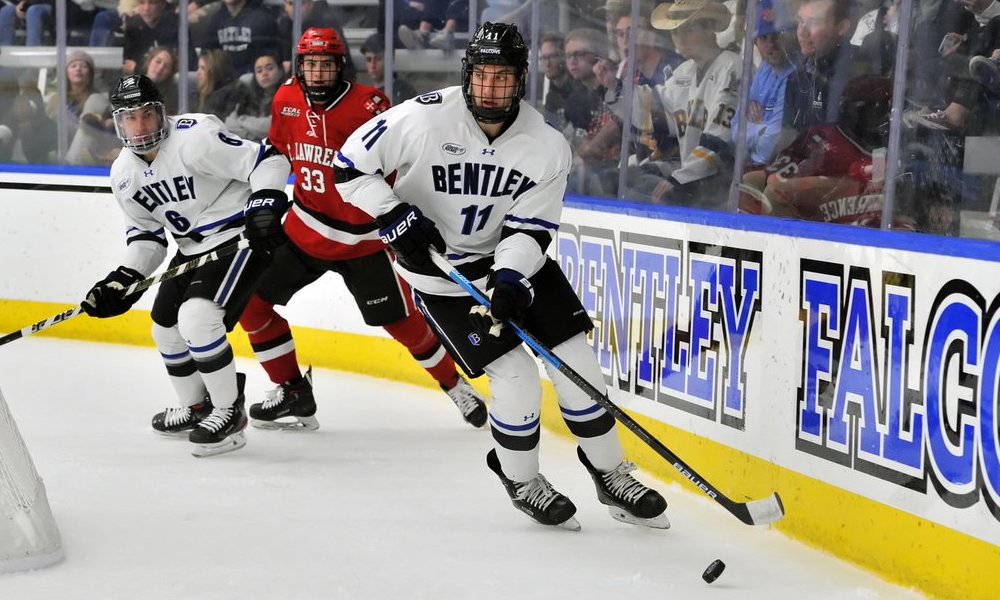 NCAA: Northeastern adds Bentley’s Novak out of the portal, Army grabs a D