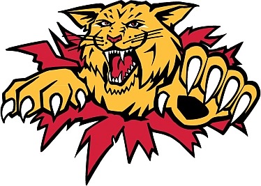QMJHL: Moncton Wildcats Draft Prospects