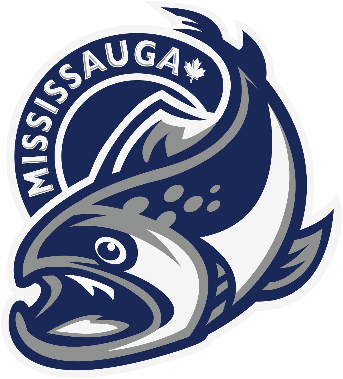 Logo Courtesy of Mississauga Steelheads