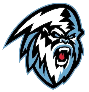 Logo Courtesy of Winnipeg Ice