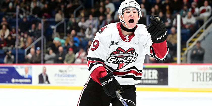 OHL: Guelph at Windsor